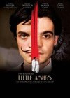 Little Ashes (2008).jpg